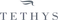 /images/projects/companies/TETHYS.png
